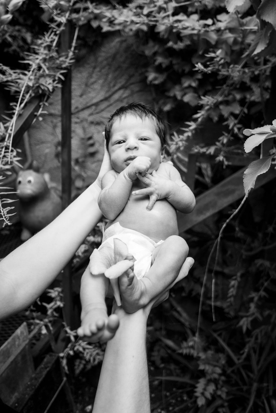 nahel at eight days old 2023